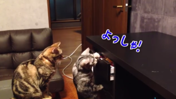 screen-shot-2014-07-04-at-11-24-43-am