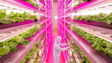 tumblr_inline_n8ga07E0Jy1qzgziy