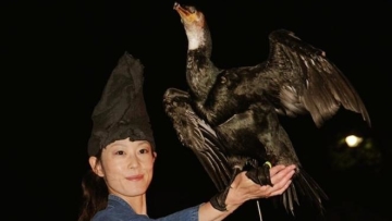 ukai--tradisi-memancing-dengan-burung-di-jepang (1)