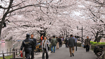 10 Tempat Wisata Unik dan Indah di Jepang (7)