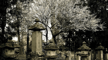 batu nisan jepang (1)