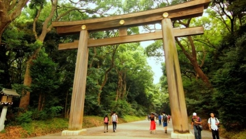 meiji jingu (1)