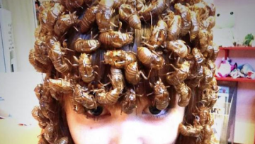 shoko nakagawa bug hair (1)