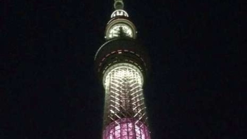 tokyo skytree pink (1)