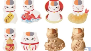 1407742712_1_13_07631dcf7a9fefaef9fa45f7e83e98c1-500x314