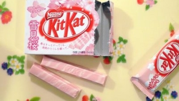 16 cherry blossom cherry