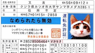 Classic Name-neko Cats