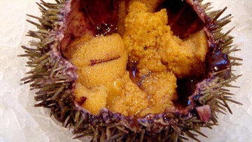 Di Jepang, Bulu Babi Dimakan