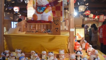 Good luck cats grace Ise Jingu in 'search' for owners