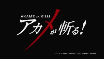 akame ga kill