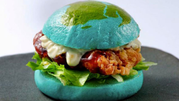 earth-burger