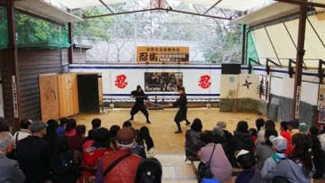 242453_iga-ninja-museum_663_382