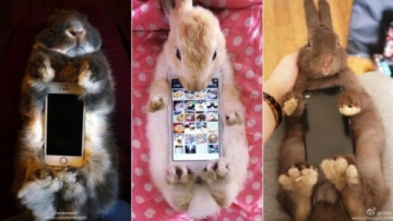 5a fwnfaofeoxxusr1ncudf