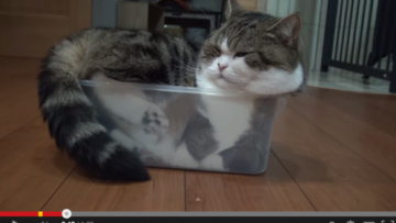 7c screen-shot-2014-10-22-at-4-27-24-pm