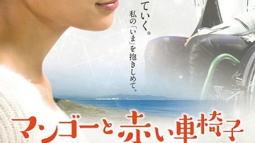 Mango_And_Red_Wheelchair-p1