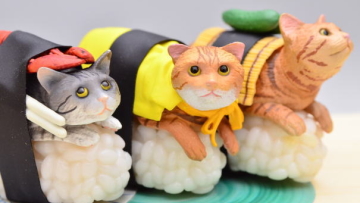 catsushi