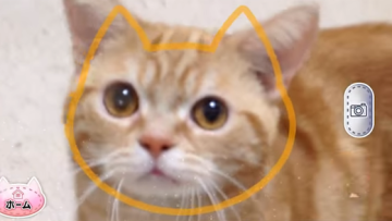 nekomimi survivor cat game (1)