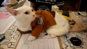 Attack on Titan Kucing Xueyu Taiwan