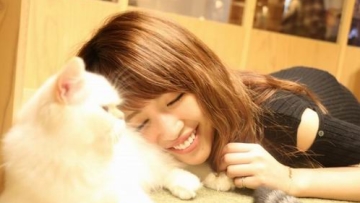 Cat Cafe MoCHA, tempat bersantai untuk para pecinta kucing di Ikebukuro! (5)