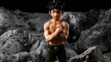 Pokemon HG Takeshi copy