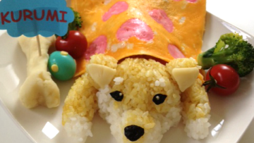 Shiba Inu Bento cover copy Shiba Inu Bento cover copy