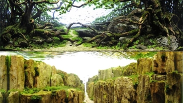 Keren! Ini bukan pemandangan alam, tapi isi dari akuarium di Tokyo!