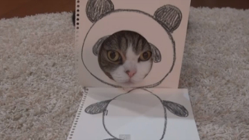 Maru Kucing Kostum Halloween