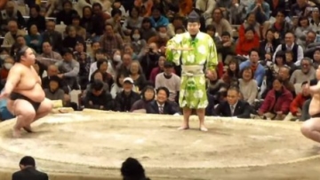 Sumo komedi shokkiri featured