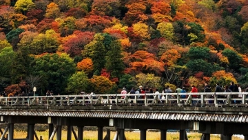 Arashiyama Momiji Festival tampilkan kembali suasana dan tradisi kuno di Kyoto (1)