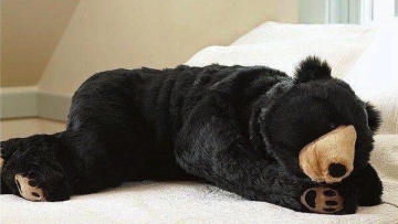 Beruang Kantung Tidur Kreasi Seniman Jepang - kuroneko