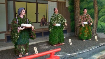 Kiku ningyo, seni membuat boneka Jepang dari bunga krisan yang masih tumbuh