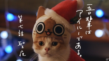 Kucing menggemaskan ini ber-cosplay mempromosikan Monster Hunter Diary Poka Poka Felyne Village DX