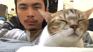 Mike Lavin Kucing Hotline Bling Drake 1