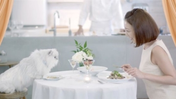 MonPetit Nestle Koki Datang ke Rumah Masak untuk Kalian dan Kucing Kalian