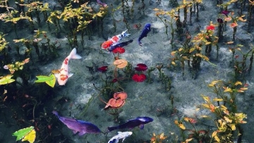 Monet's Pond Gifu - StickyBug_511 copy