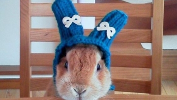 My Melody in real life Kelinci Topi Rajutan Futon