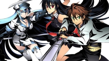 Divine Gate Akame ga Kill copy