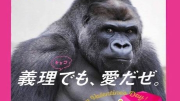 Ganteng-ganteng gorila! Shabani akan mewarnai kemasan cokelat Valentine di Jepang!