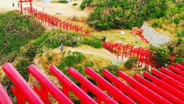 Kuil Motonosumi Inari- Keindahan Jepang yang Belum Banyak Ditemukan Turis - Turtle Kazuma