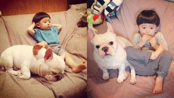 Persahabatan antara anak dari Jepang dengan anjing bulldog ini mengharukan dan menggemaskan Persahabatan antara anak dari Jepang dengan anjing bulldog ini mengharukan dan menggemaskan