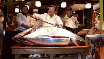 Wow! Ikan tuna dari Jepang ini terjual seharga 14 juta yen!