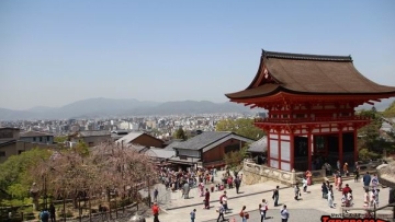 Jumlah wisatawan asing yang berkunjung ke Jepang meningkat 52% di bulan Januari (1)