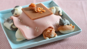 Kucing-kucing imut yang tertidur di bawah kotatsu ini ternyata adalah permen! (1)