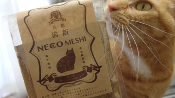 Neco Meshi, Kudapan yang Dapat Dinikmati Bersama Kucing Peliharaan