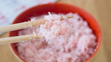 Cara Membuat Sakura Denbu