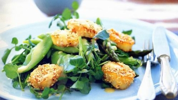 Resep Scallop Salad Dengan Saus Miso Khas Jepang