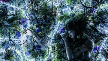 Single Baru Aimer Akan Segera Dirilis