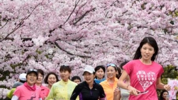Tempat Terbaik Jogging di Tokyo (4)