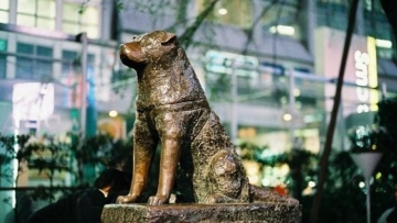 3 Hewan di Jepang yang Begitu Penting Hingga Dibuatkan Patungnya di Tokyo 4