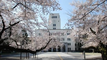 5 Lagu Jepang Terbaik Bertema Sakura dan Kelulusan